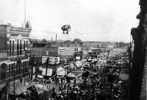 Winona fair